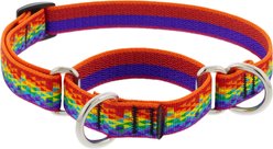 LupinePet MicroBatch Limited Edition Pixel Party Martingale Dog Collar, Medium: 14 to 20-in neck, 3/4-in wide