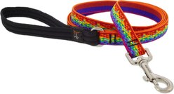 LupinePet MicroBatch Limited Edition Pixel Party Padded Handle Dog Leash, Regular: 6-ft long, 3/4-in wide