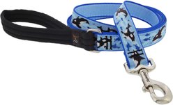 LupinePet MicroBatch Limited Edition Orcas Padded Handle Dog Leash, Regular: 6-ft long, 1-in wide