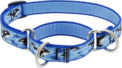 LupinePet MicroBatch Limited Edition Orcas Martingale Dog Collar, Small: 10 to 14-in neck, 3/4-in wide