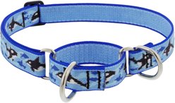 LupinePet MicroBatch Limited Edition Orcas Martingale Dog Collar, X-Large: 19 to 27-in neck, 1-in wide