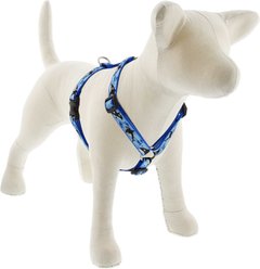 LupinePet MicroBatch Limited Edition Orcas Adjustable Dog Harness, Small: 12 to 20-in chest, 3/4-in wide