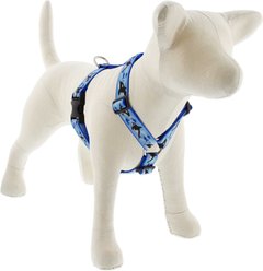 LupinePet MicroBatch Limited Edition Orcas Adjustable Dog Harness, X-Large: 36 to 44-in chest, 1-in wide