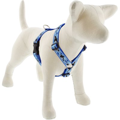 LupinePet LupinePet MicroBatch Limited Edition Orcas Adjustable Dog Harness, Medium: 20 to 32-in chest, 1-in wide