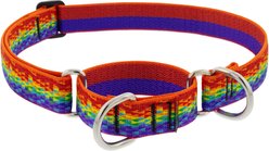 LupinePet MicroBatch Limited Edition Pixel Party Martingale Dog Collar, X-Large: 19 to 27-in neck, 1-in wide