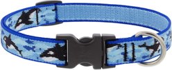 LupinePet MicroBatch Limited Edition Orcas Dog Collar, Small: 9 to 14-in neck, 3/4-in wide