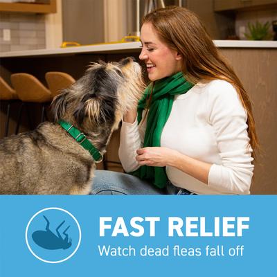 Show full view: Capstar Flea Oral Treatment for Dogs, 2-25 lbs, 12 Tablets slide 6 of 13