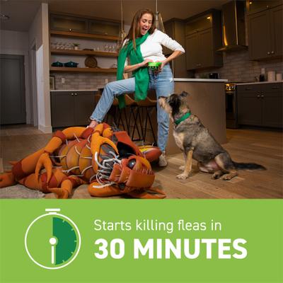 Show full view: Capstar Flea Oral Treatment for Dogs, over 25 lbs, 12 Tablets slide 4 of 13