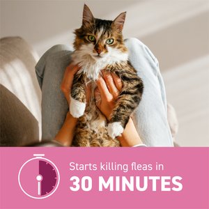 Capstar Flea Oral Treatment for Cats, 2-25 lbs, 6 Tablets