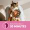 Show in main carousel: Capstar Flea Oral Treatment for Cats, 2-25 lbs, 6 Tablets slide 4 of 13