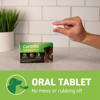 Show full view: Capstar Flea Oral Treatment for Dogs, over 25 lbs, 6 Tablets slide 8 of 13