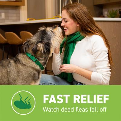 Show full view: Capstar Flea Oral Treatment for Dogs, over 25 lbs, 6 Tablets slide 6 of 13