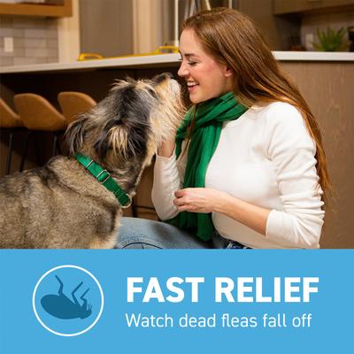 Show full view: Capstar Flea Oral Treatment for Dogs, 2-25 lbs, 6 Tablets slide 6 of 13