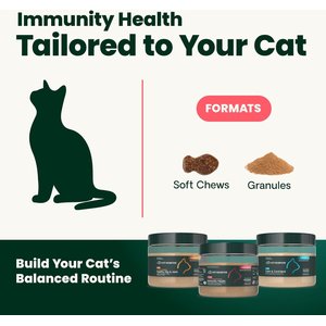 VetriScience Lysine Complete Creamy Chicken Flavor Triple-Action Immune Support Supplement for Cats, 2.75-oz jar