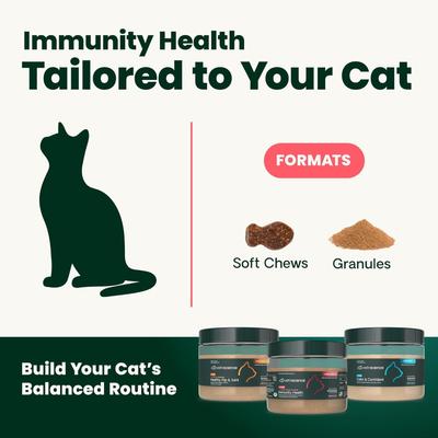 Show full view: VetriScience Lysine Complete Creamy Chicken Flavor Triple-Action Immune Support Supplement for Cats, 2.75-oz jar slide 10 of 10