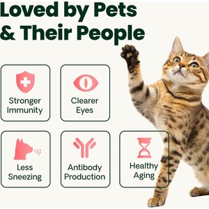VetriScience Lysine Complete Creamy Chicken Flavor Triple-Action Immune Support Supplement for Cats, 2.75-oz jar