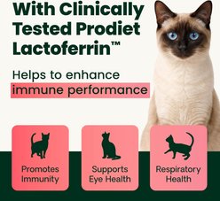 VetriScience Lysine Complete Creamy Chicken Flavor Triple-Action Immune Support Supplement for Cats, 2.75-oz jar slide 2 of 9