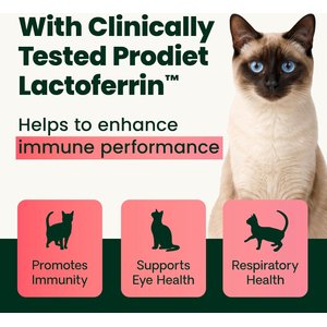 VetriScience Lysine Complete Creamy Chicken Flavor Triple-Action Immune Support Supplement for Cats, 2.75-oz jar