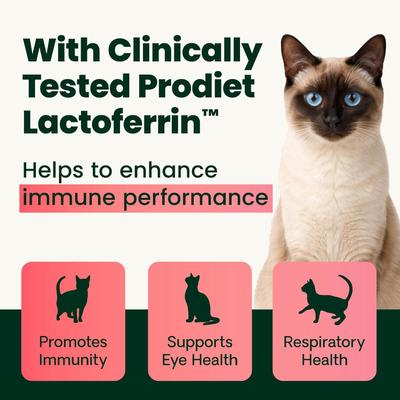 Show full view: VetriScience Lysine Complete Creamy Chicken Flavor Triple-Action Immune Support Supplement for Cats, 2.75-oz jar slide 4 of 10