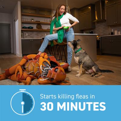 Show full view: Capstar Flea Oral Treatment for Dogs, 2-25 lbs, 12 Tablets slide 4 of 13