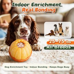 KADTC Multi-Functional Enrichment Dog Toy, Orange, Large slide 2 of 8