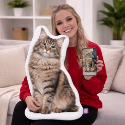 All About Vibe Mancoon Cat Custom Shaped Pillow, 16-in