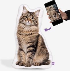 All About Vibe Mancoon Cat Custom Shaped Pillow, 30-in slide 2 of 4