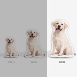 All About Vibe Labrador Custom Shaped Pillow, 30-in slide 2 of 5