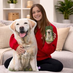 All About Vibe Labrador Custom Shaped Pillow, 16-in