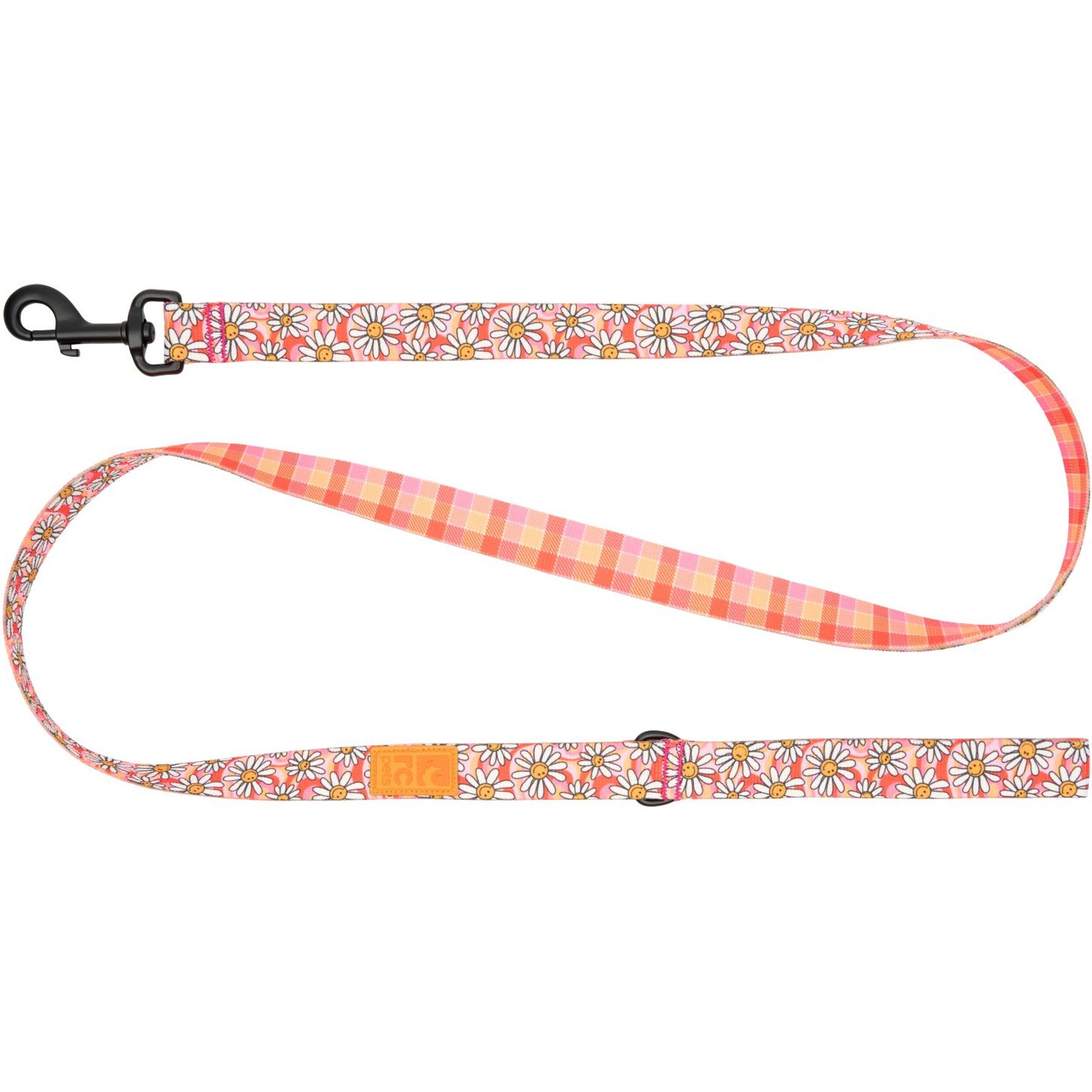 RC Pets Eco Polyester Dog Leash, Daisy Joy, 5-ft long, 1-in wide