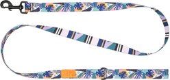 RC Pets Eco Polyester Dog Leash, Mystic Monstera, 5-ft long, 3/4-in wide