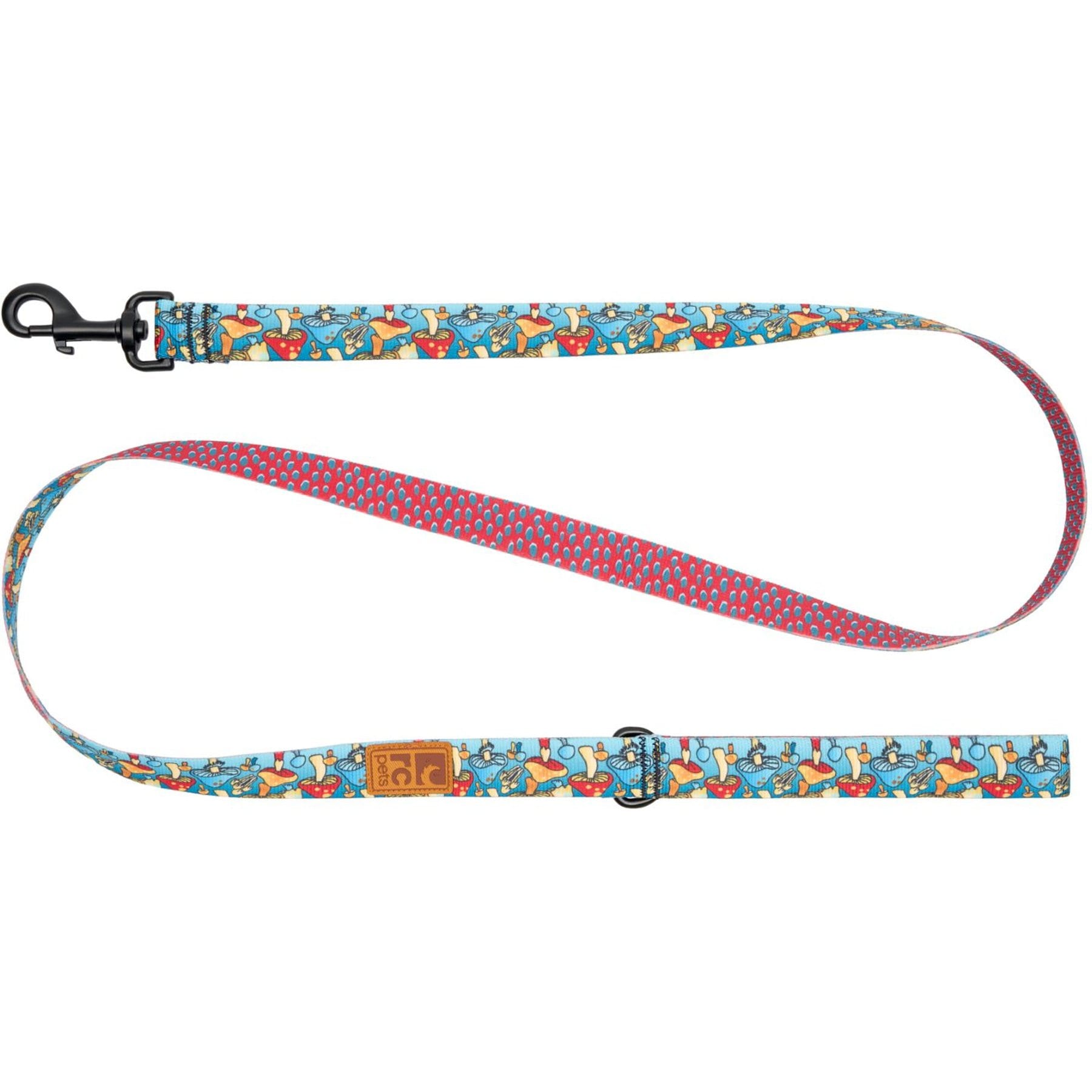 RC Pets Eco Polyester Dog Leash, Funky Fungi, 5-ft long, 1-in wide