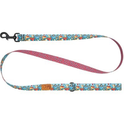 RC Pets RC Pets Eco Polyester Dog Leash, Funky Fungi, 5-ft long, 3/4-in wide