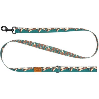 RC Pets RC Pets Eco Polyester Dog Leash, Serene Slopes, 5-ft long, 3/4-in wide