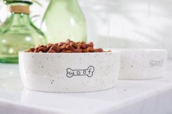 Pearhead Woof BPA-Free Ceramic Dog Bowl, Ivory, Small/Medium: 3-cup slide 2 of 7