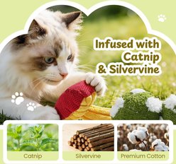 Pawsible Indoor Funny Slang Catnip & Silvervine Multi-Texture Chew Cat Toy, Multicolor, Small, 5 count slide 2 of 6
