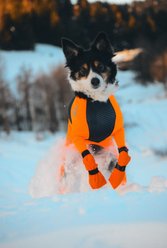 Non-stop Dogwear Contact Bootie High Dog Boots, Orange, X-Large slide 2 of 4