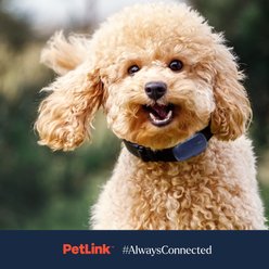 PetLink Waterproof Dog GPS & Activity Tracker with Virtual Fence, Blue slide 2 of 6