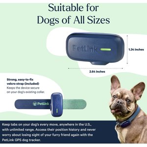 PetLink Waterproof Dog GPS & Activity Tracker with Virtual Fence, Blue