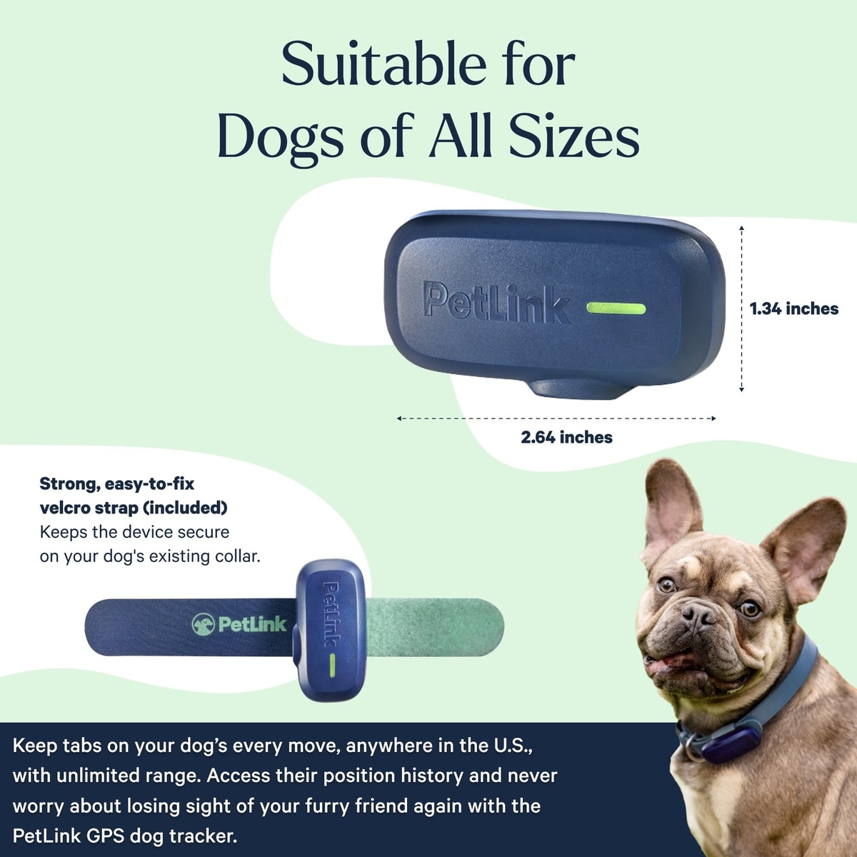Petlink PETLINK Waterproof Dog GPS & Activity Tracker with Virtual Fence, Blue ...