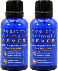 Healthy Animals 4Ever Gastrointestinal Stasis Natural Treatment Rabbit Supplement, 25-g bottle, 2 count