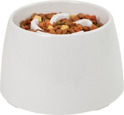 Richell Raised Dishwasher-Safe Plastic Dog Food Bowl Slow Feeder, 6.1-oz, White