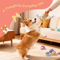 Nocciola Slipper Squeaky & Crinkle Plush Dog Toy, Multicolor, Small, 10 count slide 2 of 5