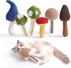 Pawsible Indoor Funny Slang Catnip & Silvervine Multi-Texture Chew Cat Toy, Multicolor, Small, 5 count