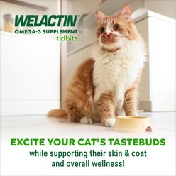 Nutramax Welactin Tidbits Dental, Skin & Coat Health with Omega 3 Fish Oil Supplement for Cats, 4.23-oz slide 2 of 9