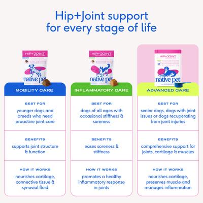 Show full view: Native Pet Hip & Joint Advanced Care Powder Supplement for Dogs, 25.4-oz slide 10 of 10