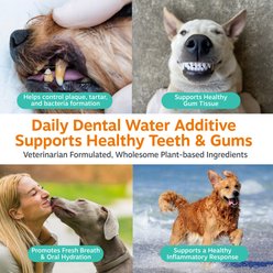 Zesty Paws Chicken Flavored Daily Dental Water Additive Dental Liquid Supplement for Dogs, 8-fl oz bottle slide 2 of 9