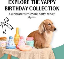 HugSmart Rubber Birthday Wine Squeaky Dog Chew Toy, Medium/Large slide 2 of 5