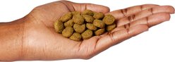 Natural Balance Original Ultra Fat Dogs Adult Low-Fat Chicken Meal, Salmon Meal & Barley Recipe Dry Dog Food, 11-lb bag slide 2 of 5
