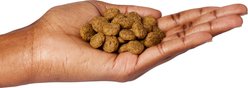 Ultimates Adult Chicken Meal & Rice Flavored Dry Dog Food, 40-lb bag slide 2 of 6